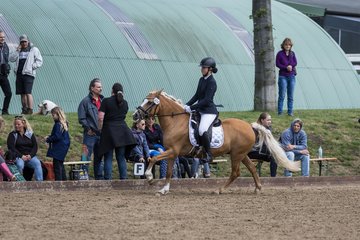 Bild 250 - Pony Akademie Turnier